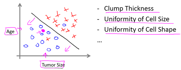 Multi-feature Classification