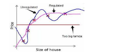 Regularization Effect Comparison